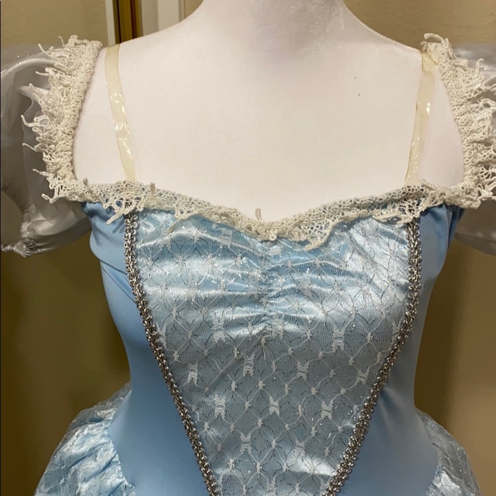 Disney Cinderella princess / Halloween dress